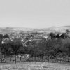 fotos - Feld_und_Flur_1950